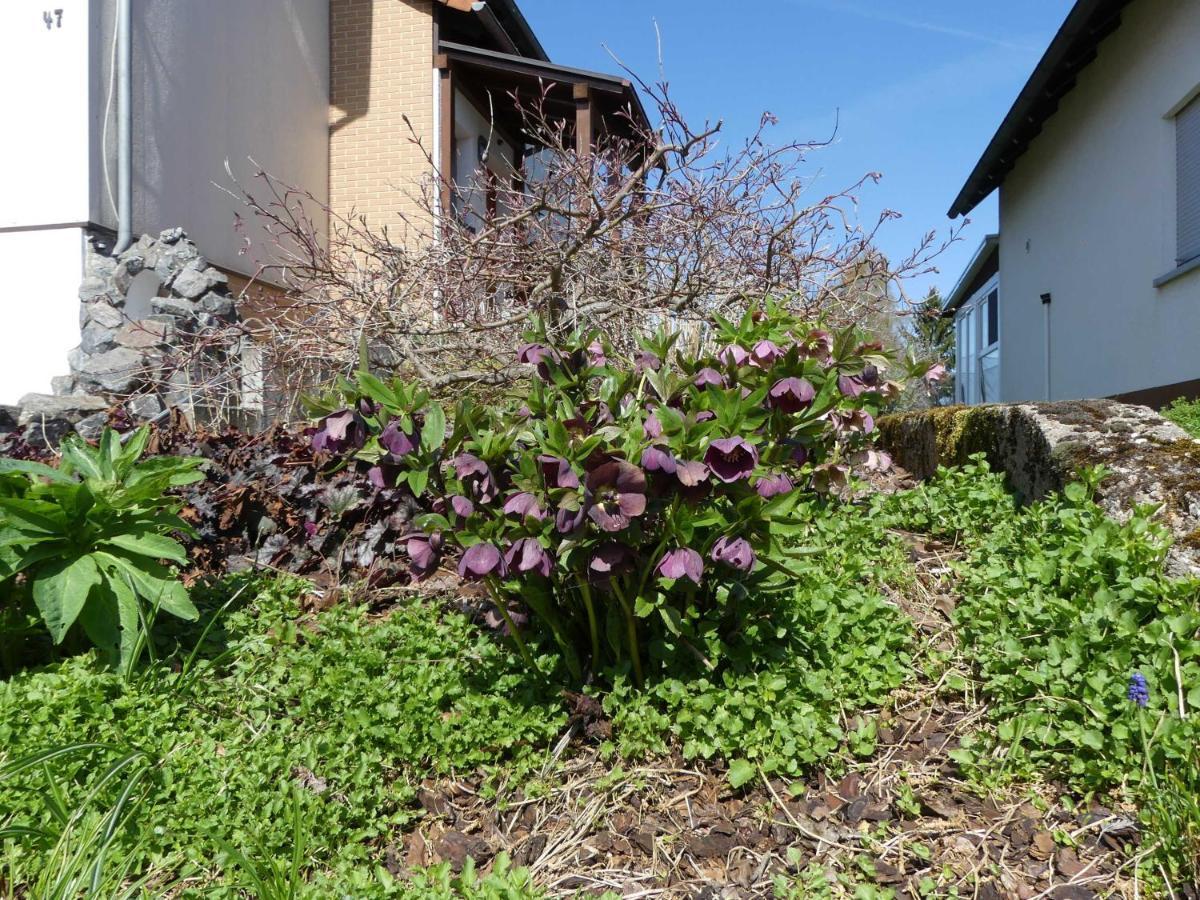 Ferienwohnung Schanbacher Оберцент Экстерьер фото